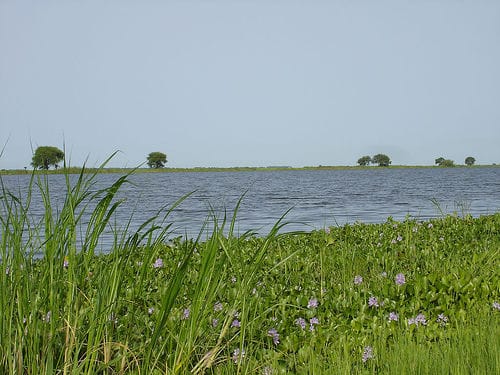 Al Bawga: Greener than I expected