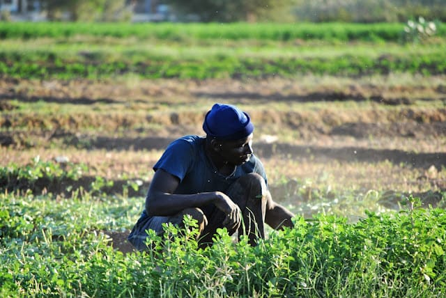 A NEW SUDAN: Be the Sudan you want to see