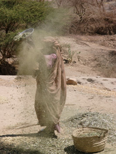 A year among farmers (Part 5)