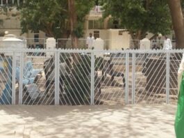The Sudanese Health System: an overview