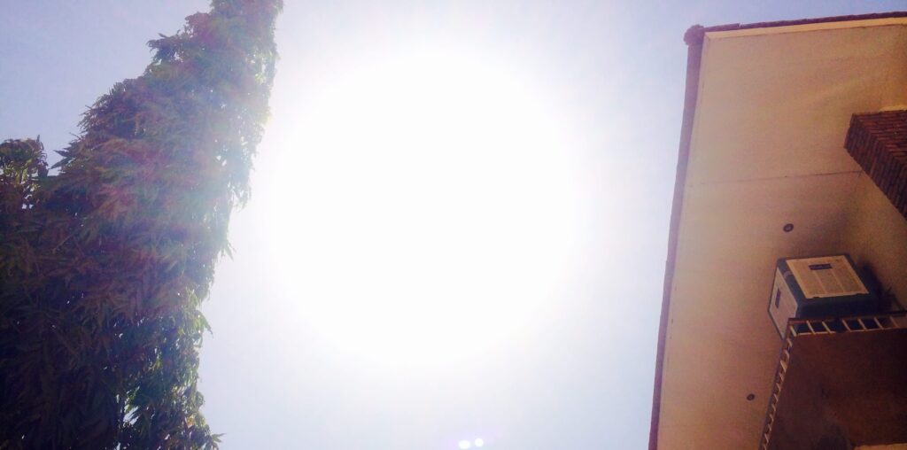 photo (1)