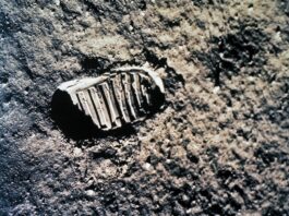 Career Confusion: One small step for an undergrad, one giant leap towards bewilderment