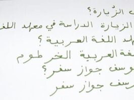 The Evolution of Sudanese Arabic