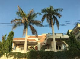 The Stories Behind the Walls of Sudanese Homes