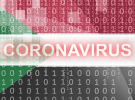 COVID-19 and the Sudanese Economy: A Wake-Up Call or Final Nail in the Coffin?