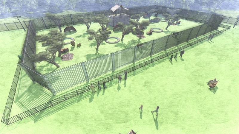 Behind Sudan Animal Rescue Centre – Sudan’s First Animal Shelter