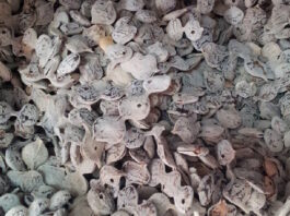 How Sudanese are Fighting COVID-19 with Traditional Medicine (Garad)