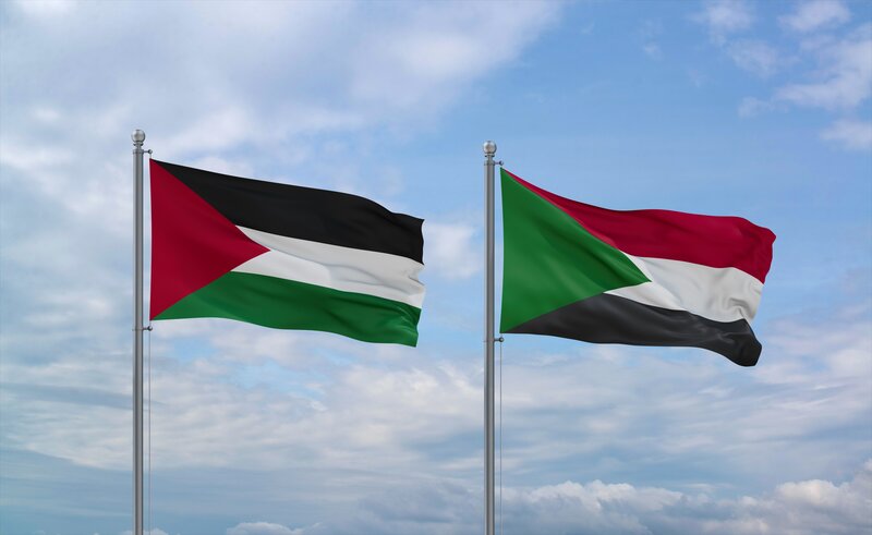 Palestinian-Sudanese Voices of War: Witnessing War in Sudan and Palestine