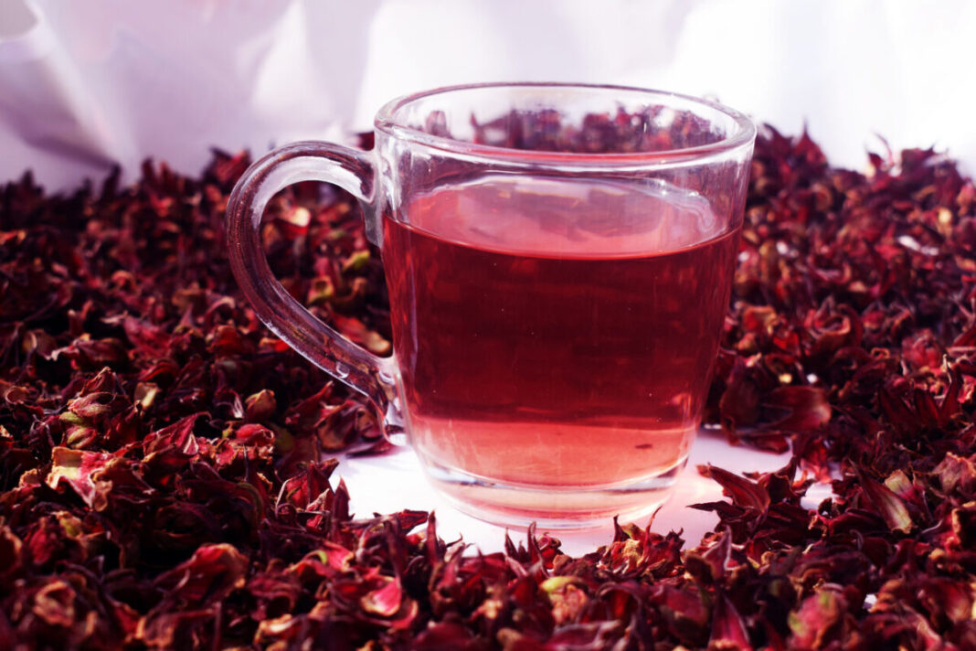 The Secret Life of Karkade (Hibiscus)