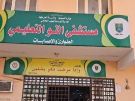 Sudan’s Collapsing Healthcare: The Heart-Wrenching Story of Two Patients at Al Naw Hospital
