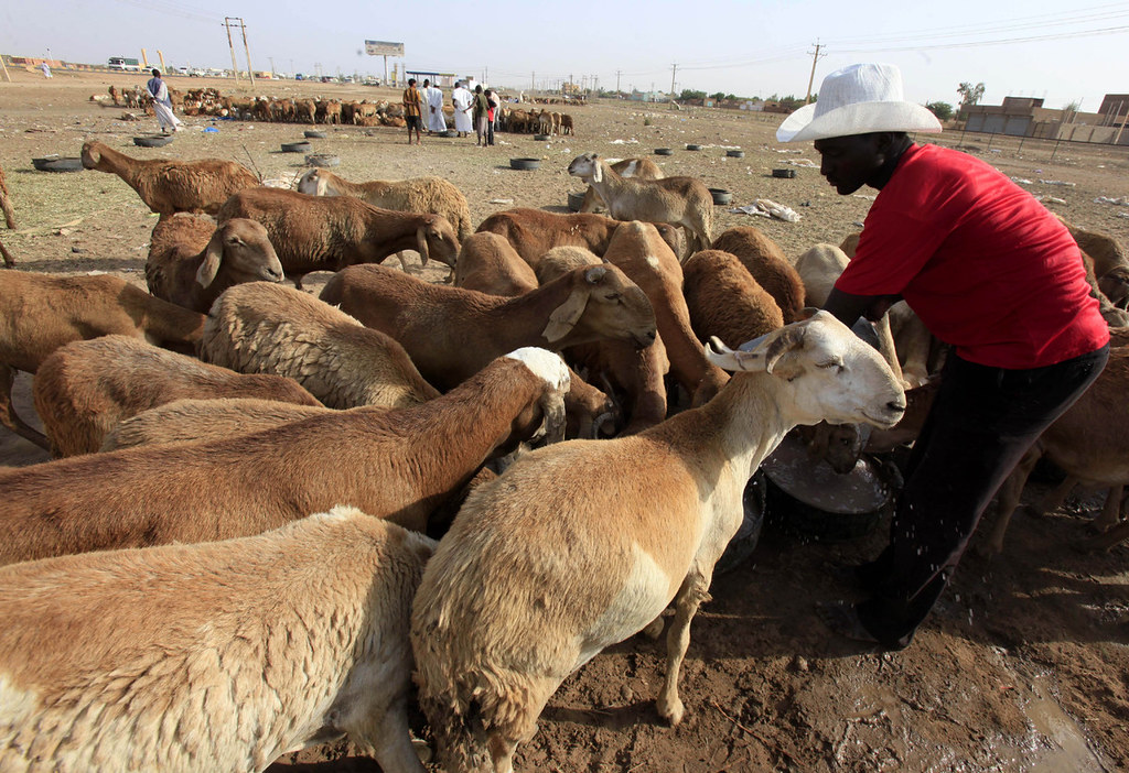 A Sudanese Eid Al Adha