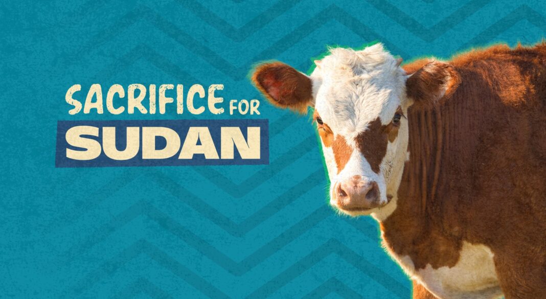 Udhiya/Qurbani for Sudan: Where to Donate