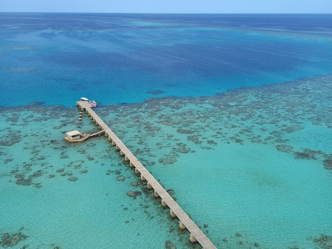 Kuwaiti Developer to Invest in Tourism Project in Red Sea State