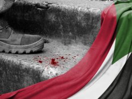 The Sudanese Diaspora: Dealing with Survivor’s Guilt