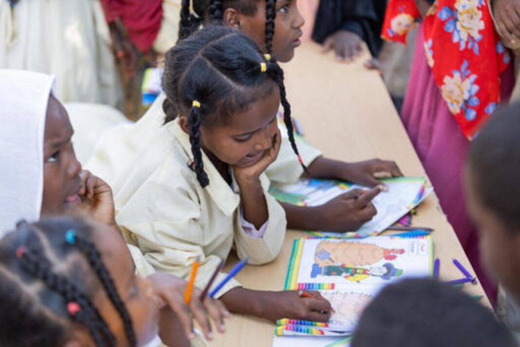 The Anchor in the Storm: Redefining Education in Modern Sudan