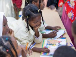 The Anchor in the Storm: Redefining Education in Modern Sudan