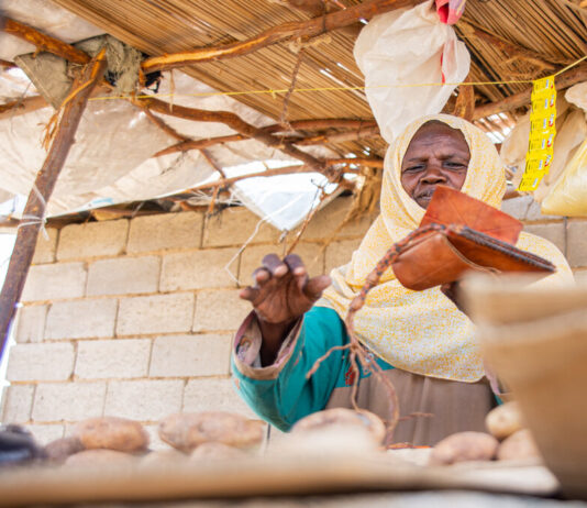 Resilience in the Face of Displacement: Suaad AbeidAllah’s Story