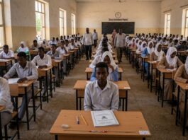 The Eroding SPINE: Why Sudan’s Education System is Failing its Greatest Asset
