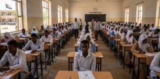 The Eroding SPINE: Why Sudan’s Education System is Failing its Greatest Asset